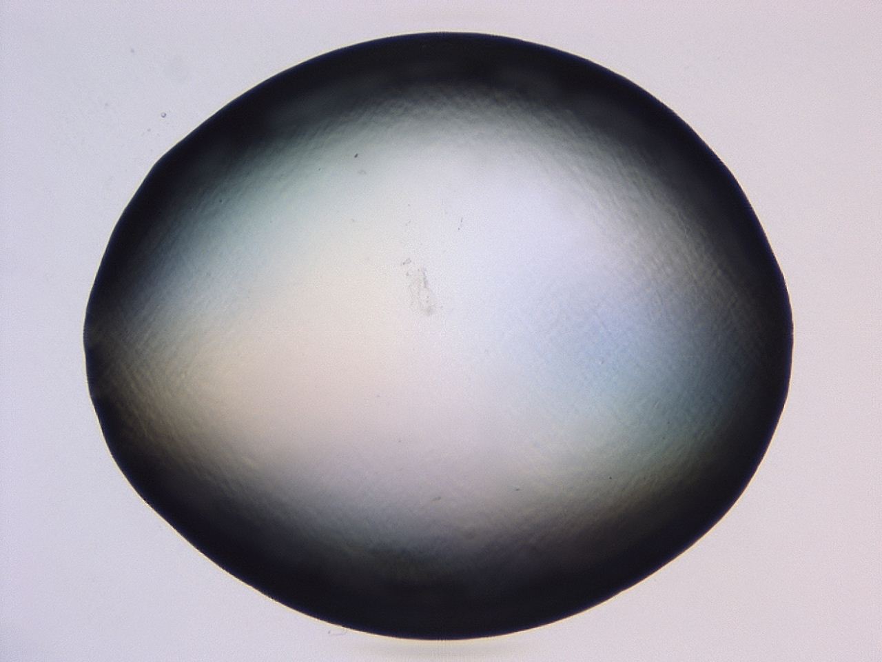 046l_B6_ImagerDefaults_1.jpg