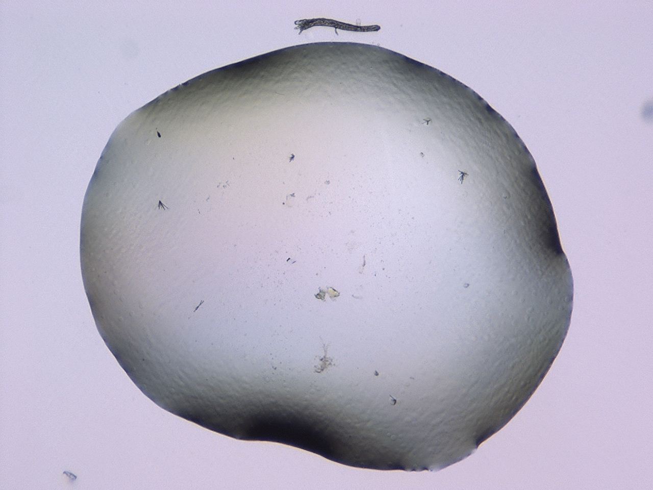 046l_B9_ImagerDefaults_1.jpg