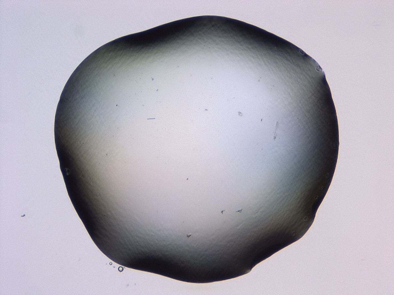 046l_B10_ImagerDefaults_1.jpg
