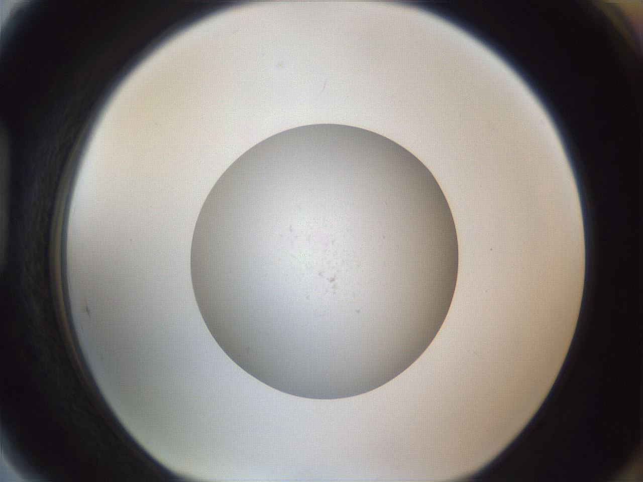 folderID843_plateID1843_batchID7909_wellNum89_profileID1_d1_r126030_ef.jpg