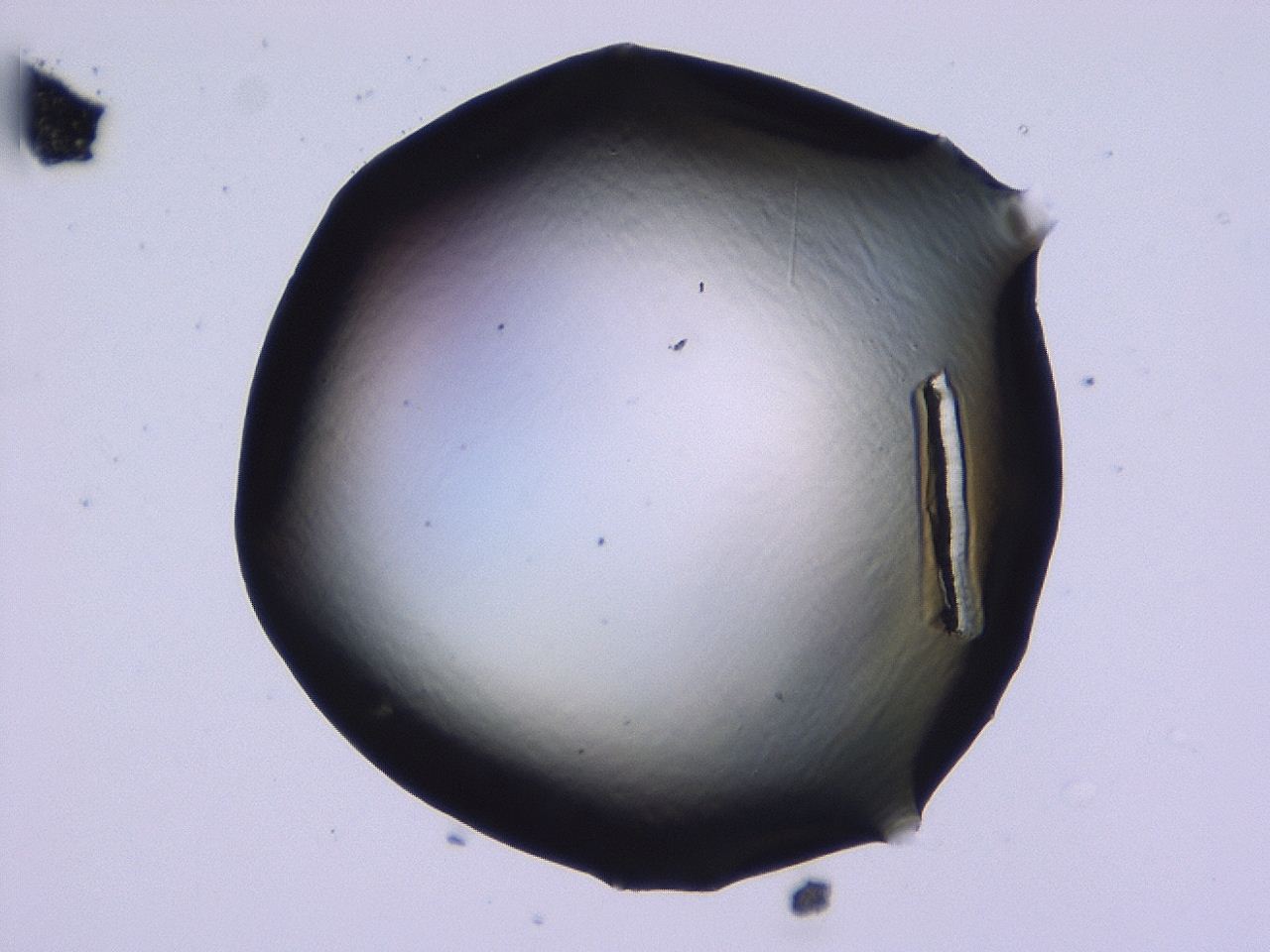 046l_C1_ImagerDefaults_1.jpg