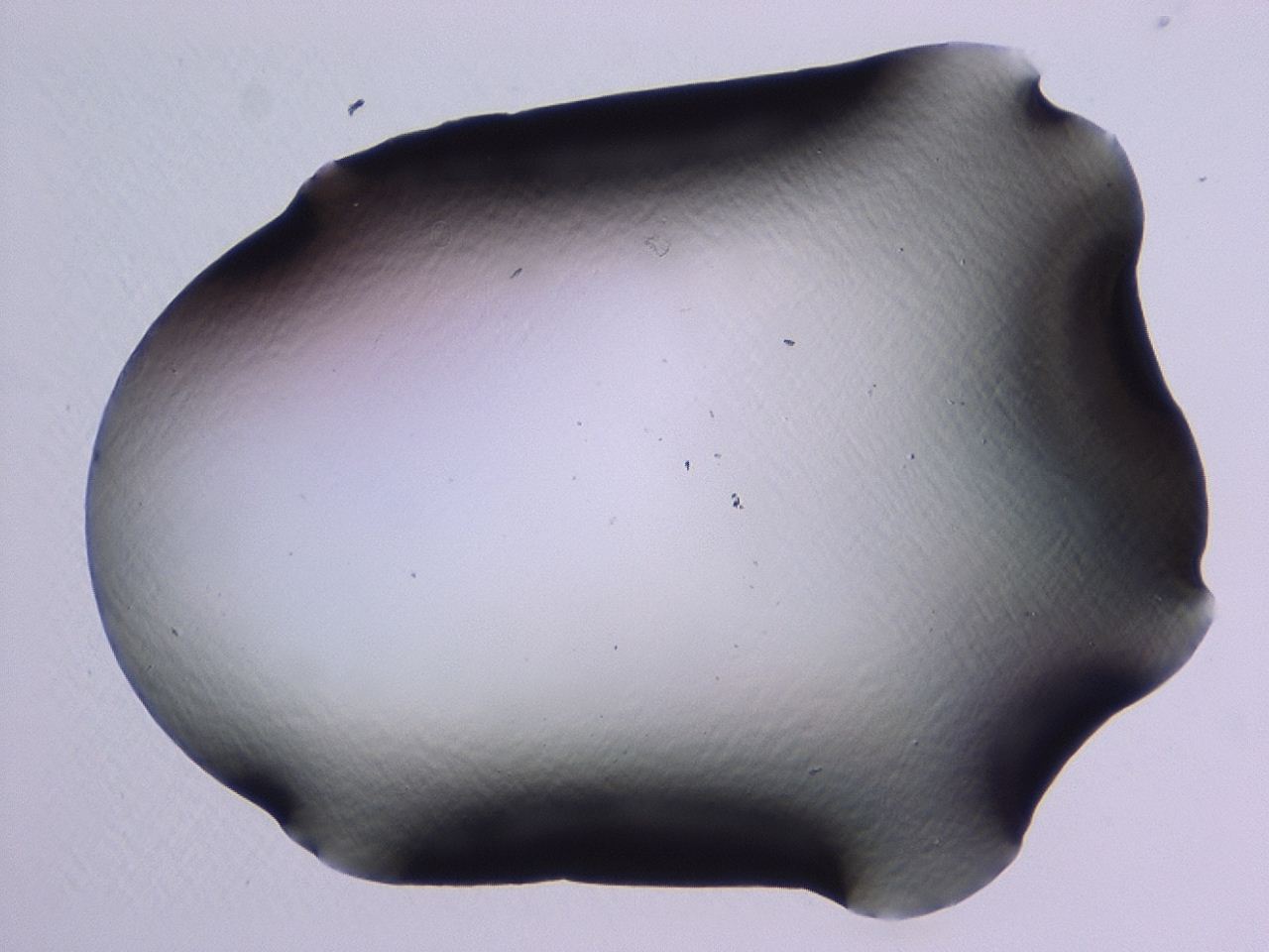 046l_C4_ImagerDefaults_1.jpg