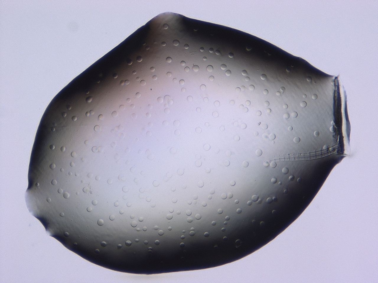 046l_C5_ImagerDefaults_1.jpg
