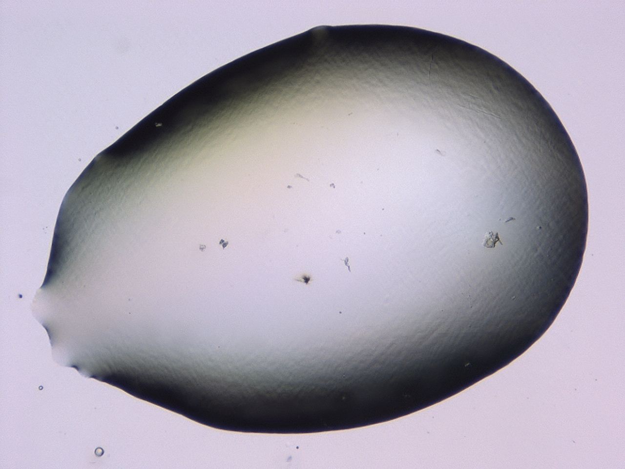 046l_C6_ImagerDefaults_1.jpg