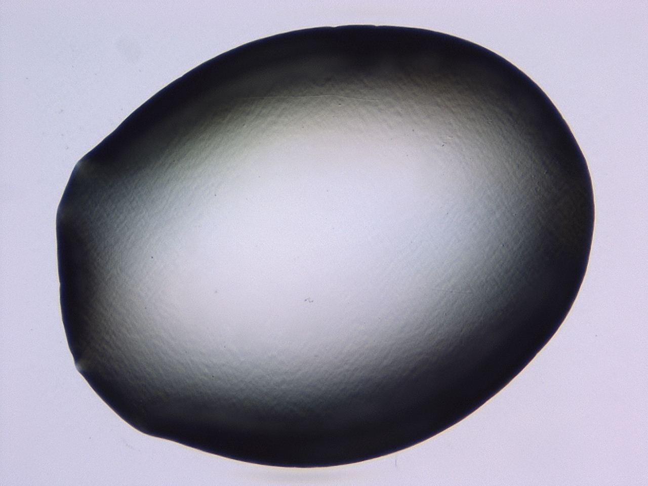 046l_C7_ImagerDefaults_1.jpg