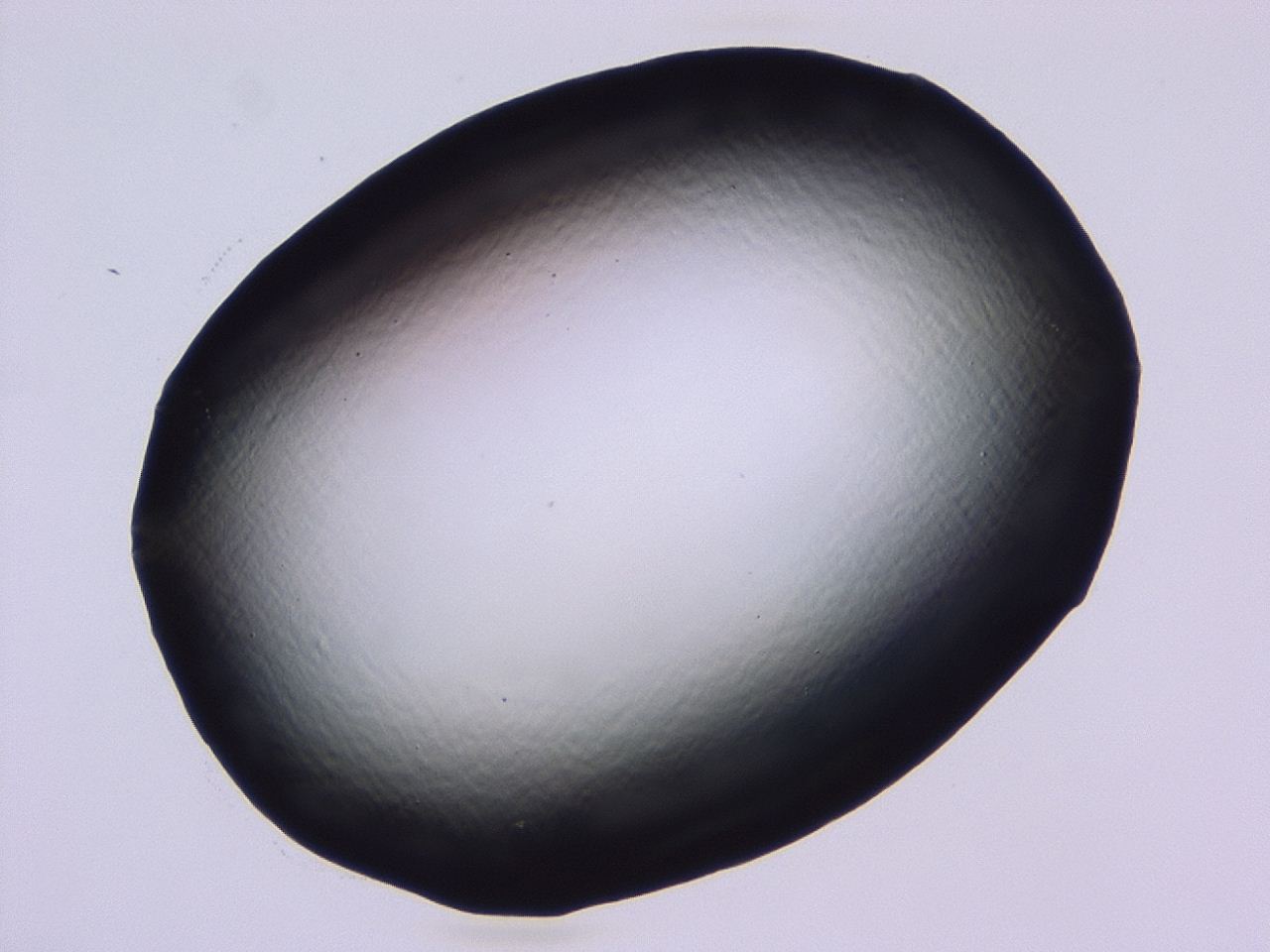 046l_C8_ImagerDefaults_1.jpg