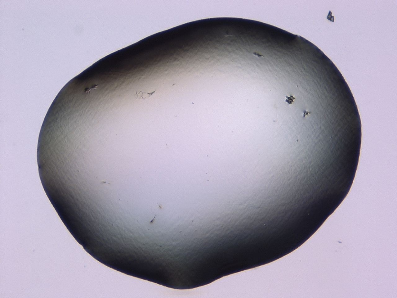 046l_C10_ImagerDefaults_1.jpg