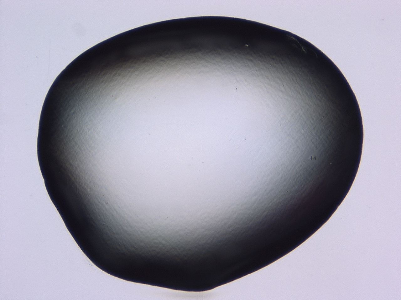 046l_C11_ImagerDefaults_1.jpg