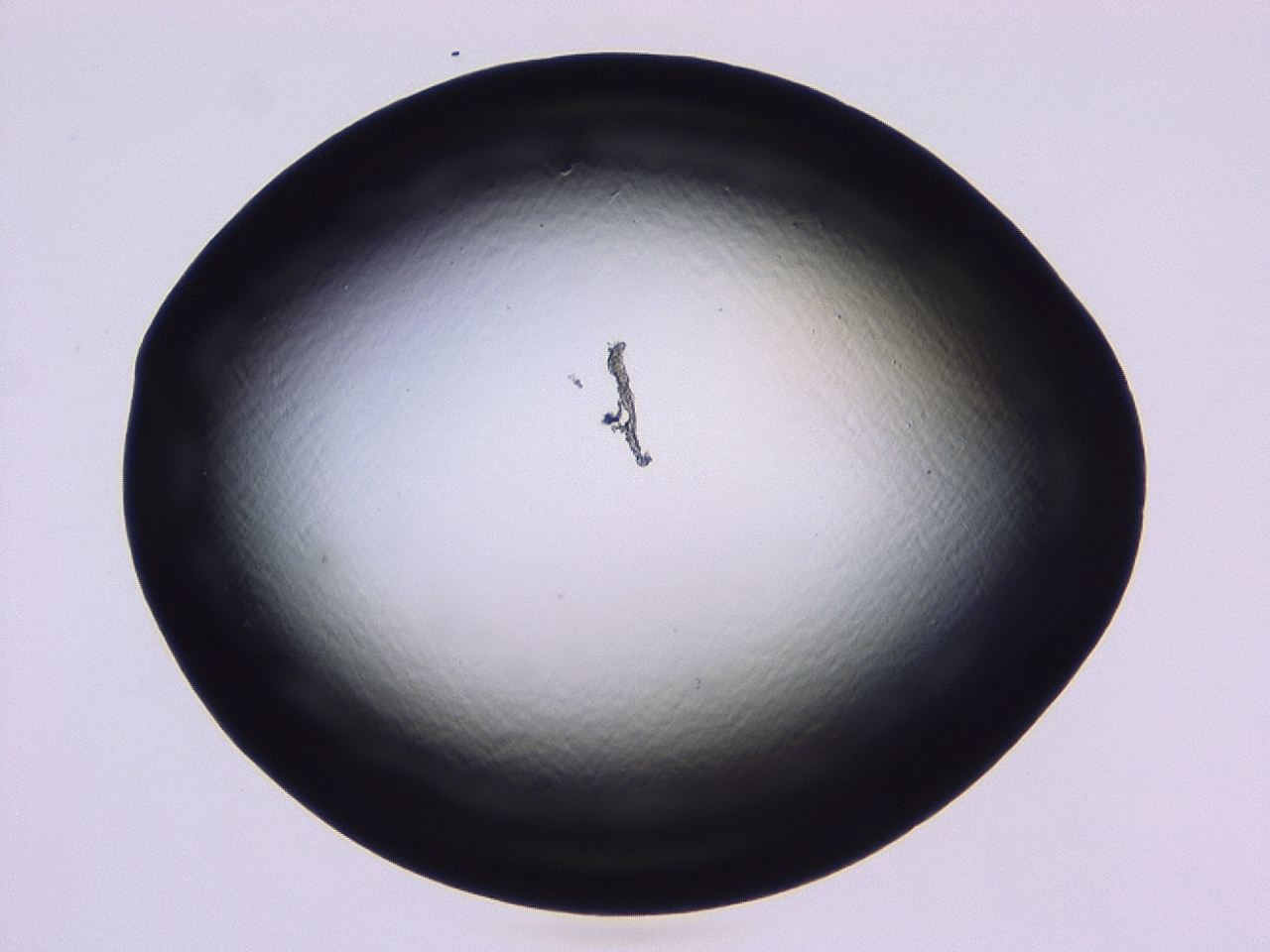 046l_C12_ImagerDefaults_1.jpg