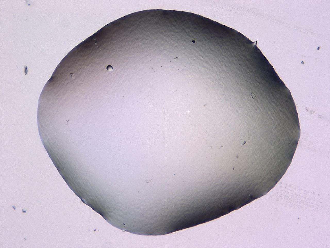 046l_D2_ImagerDefaults_1.jpg