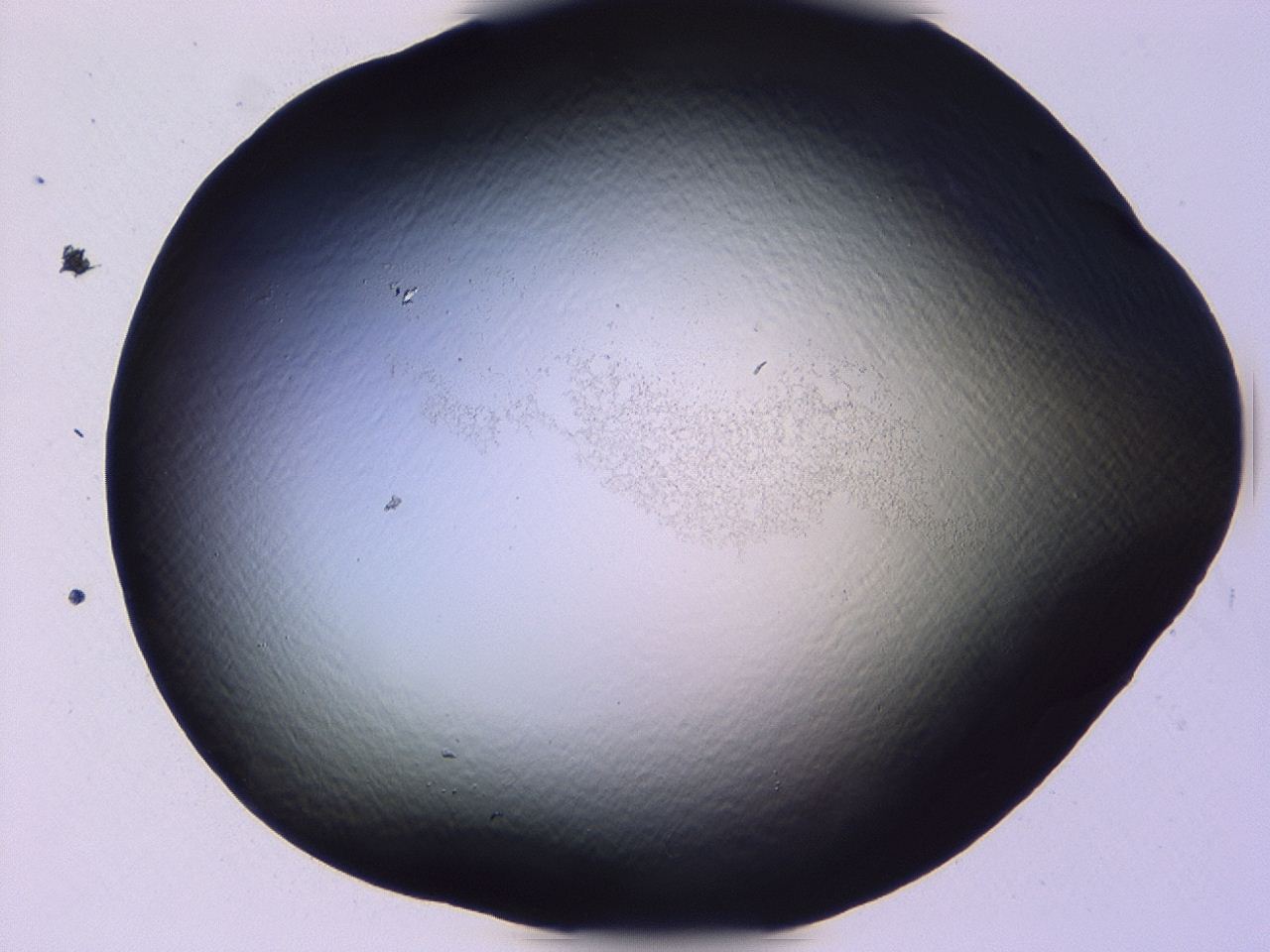 046l_E2_ImagerDefaults_1.jpg