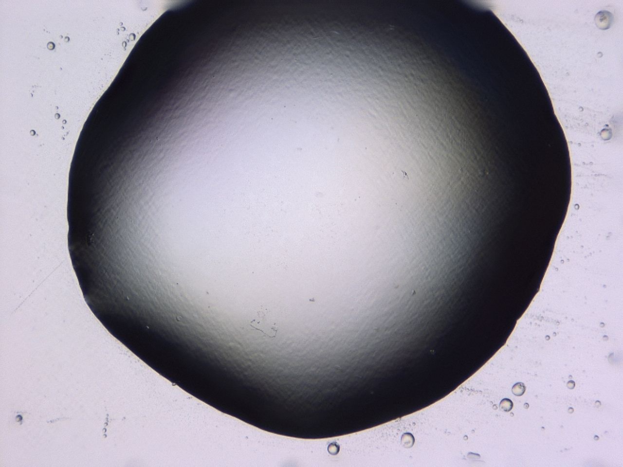 046l_E3_ImagerDefaults_1.jpg