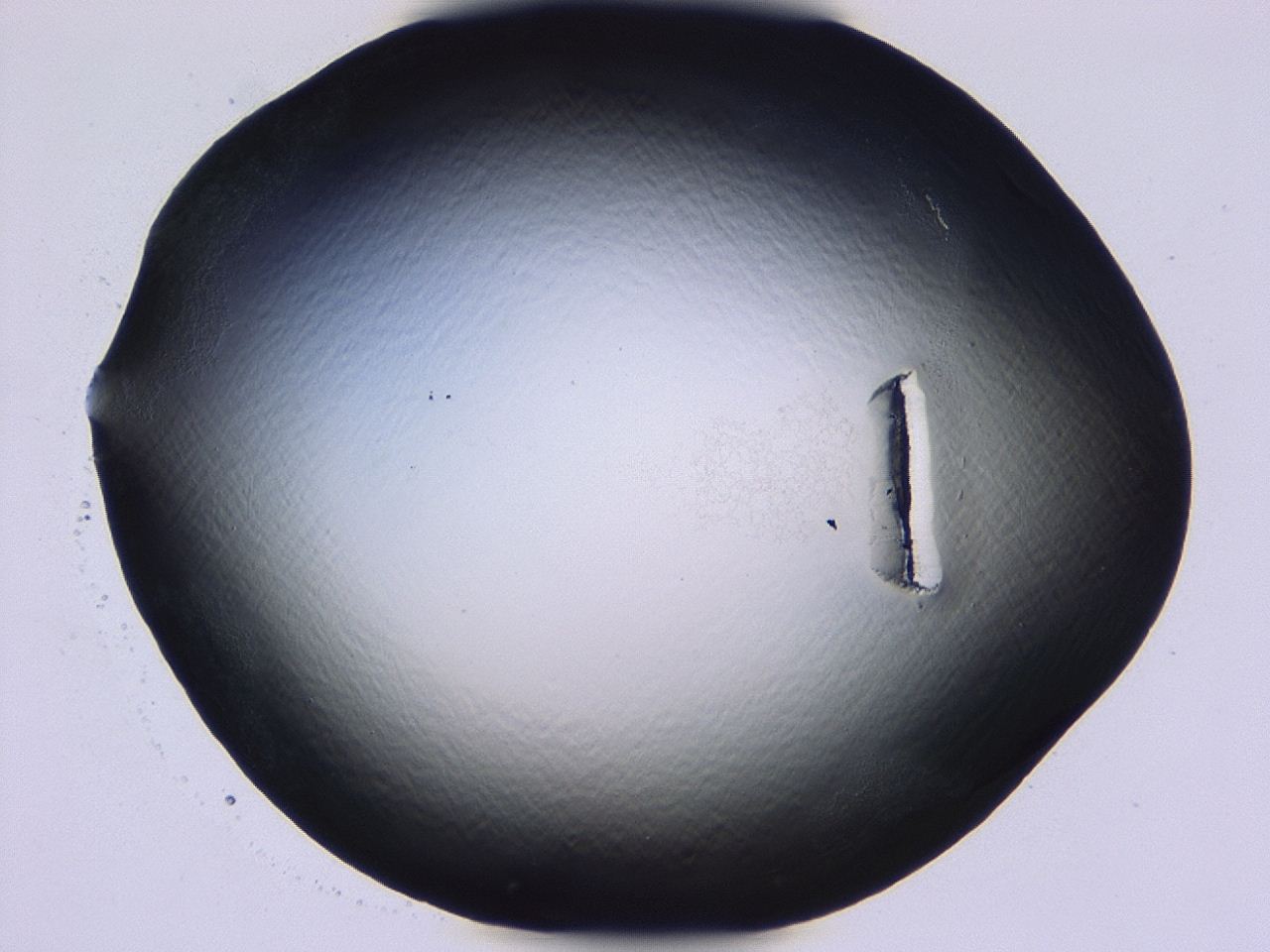 046l_E5_ImagerDefaults_1.jpg