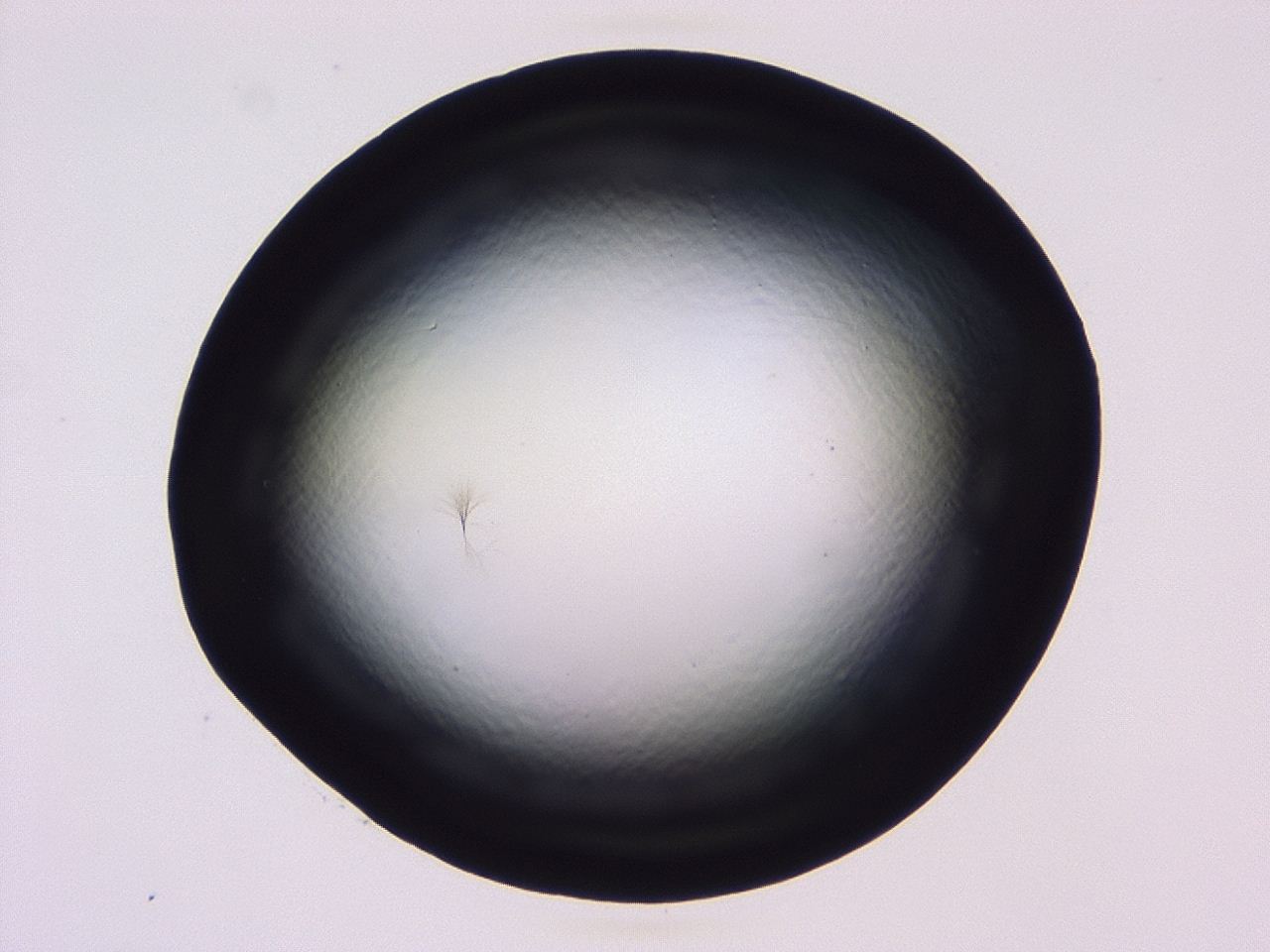 046l_E11_ImagerDefaults_1.jpg