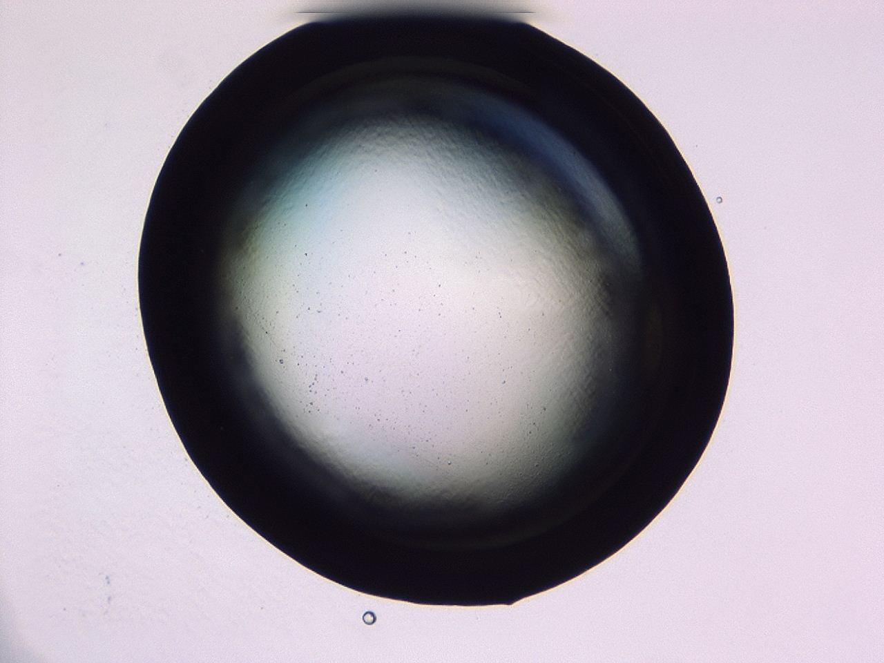 046l_F4_ImagerDefaults_1.jpg