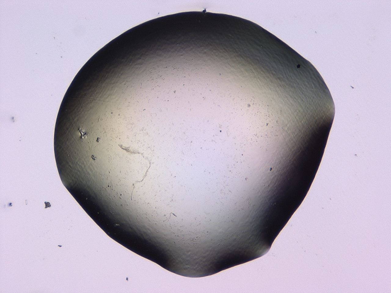 046l_G12_ImagerDefaults_1.jpg