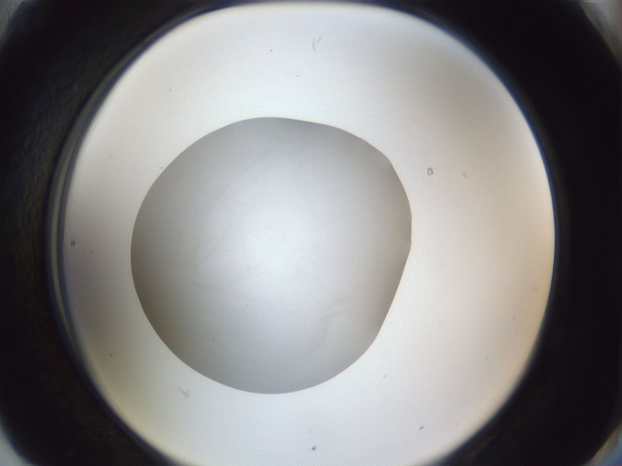 folderID847_plateID1847_batchID7911_wellNum90_profileID1_d2_r126417_ef.jpg