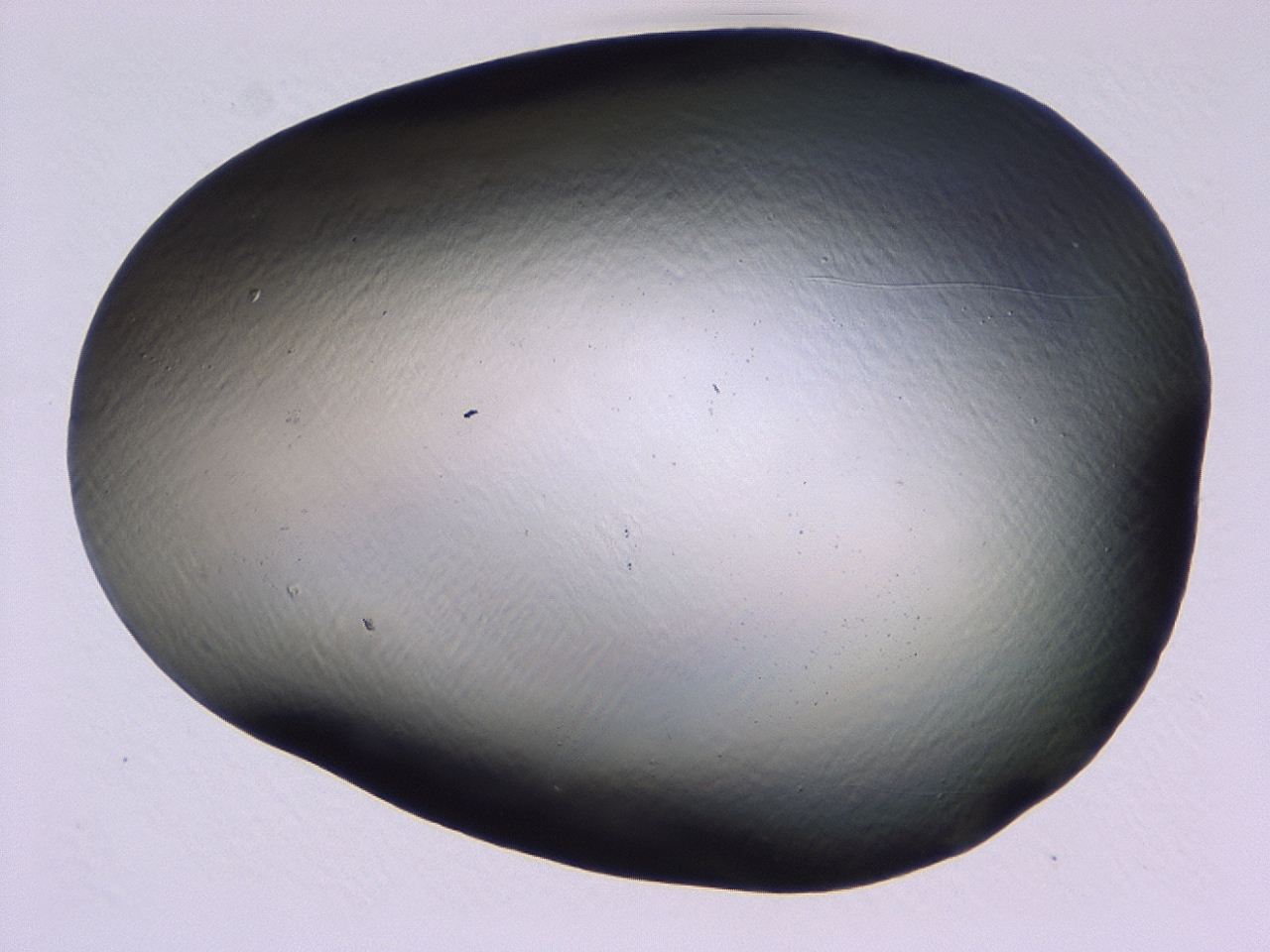 046l_H4_ImagerDefaults_1.jpg