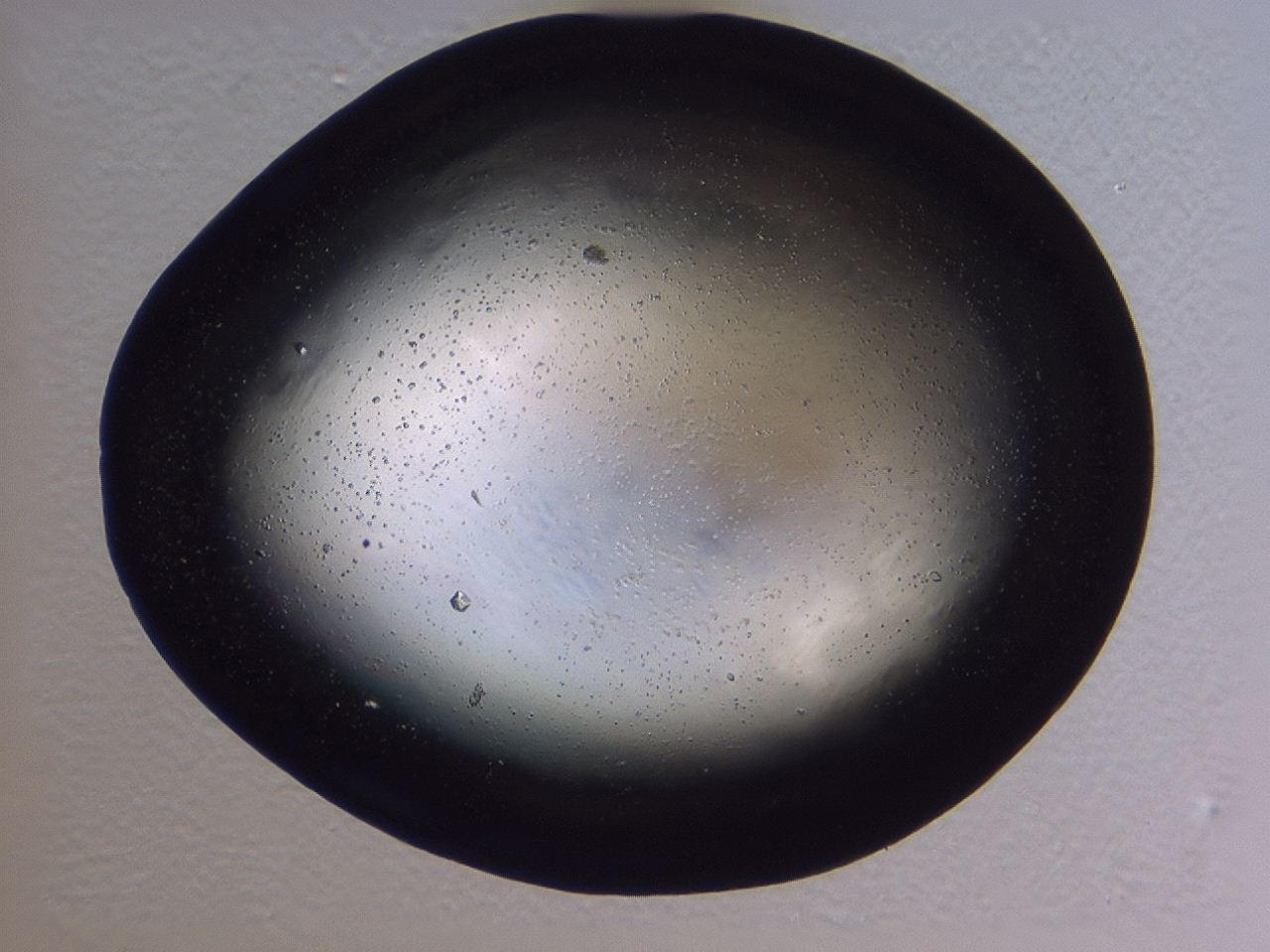 046l_H5_ImagerDefaults_1.jpg