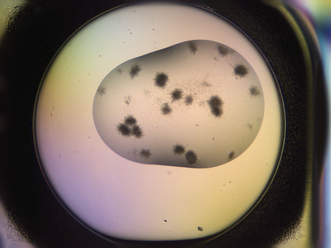 046m_C8_ImagerDefaults_6.jpg