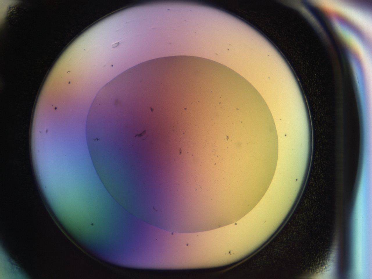 046m_F6_ImagerDefaults_0.jpg