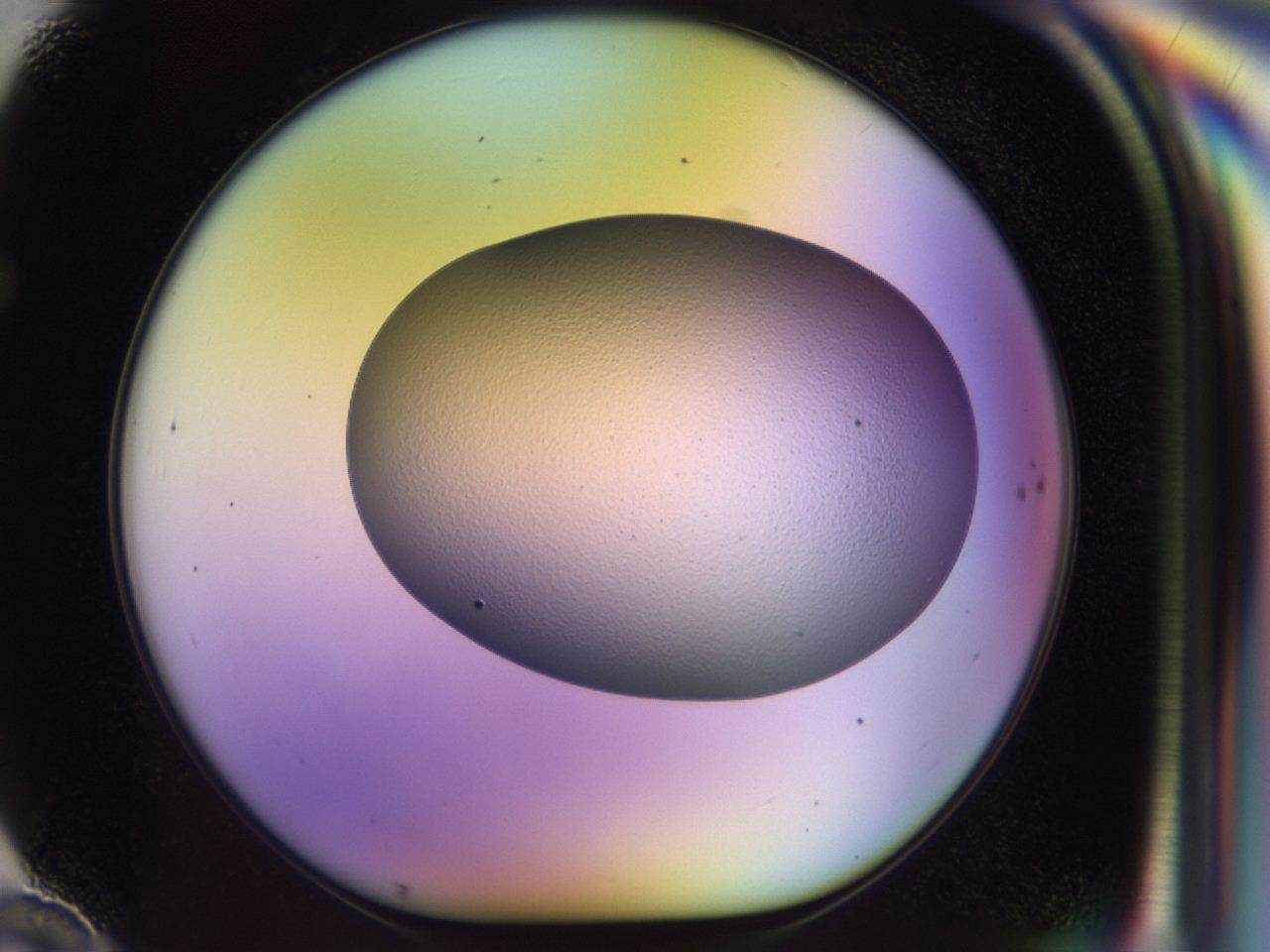 046m_F10_ImagerDefaults_0.jpg