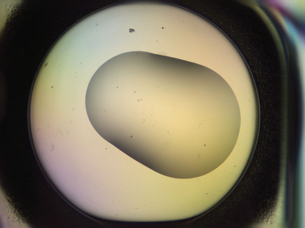 046m_D8_ImagerDefaults_0.jpg