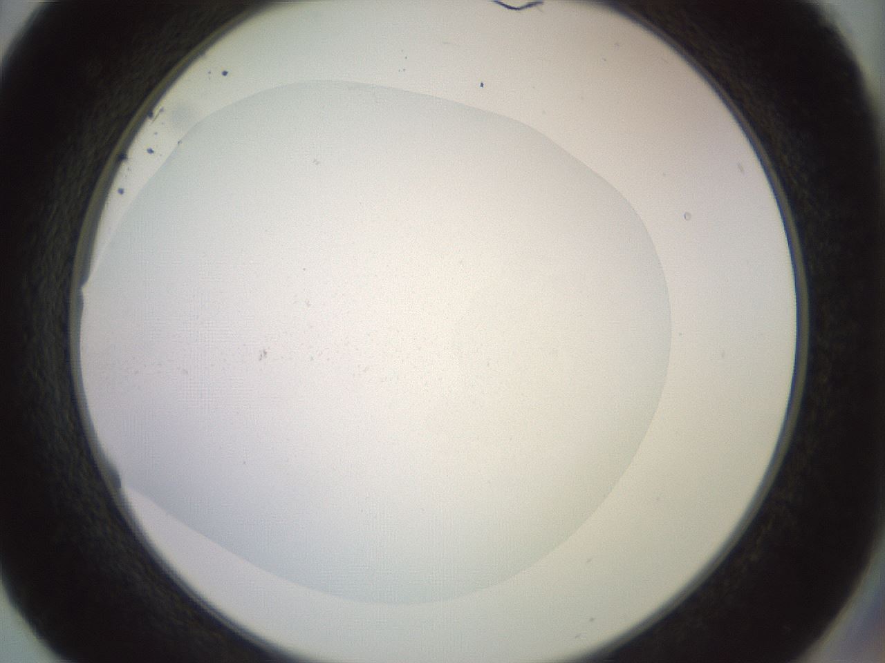 folderID853_plateID1853_batchID7900_wellNum50_profileID1_d2_r124417_ef.jpg