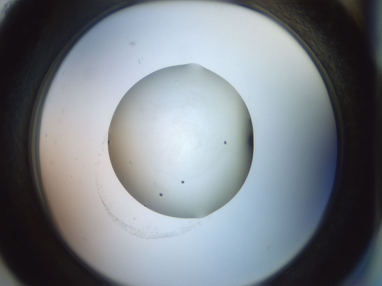 folderID853_plateID1853_batchID7900_wellNum93_profileID1_d2_r124503_ef.jpg