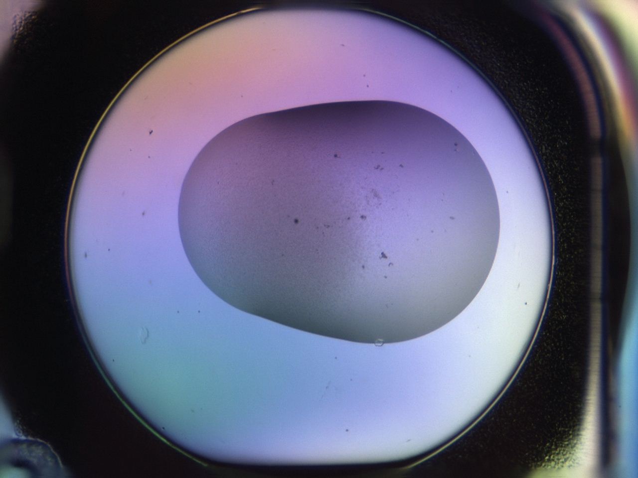 046m_D12_ImagerDefaults_1.jpg
