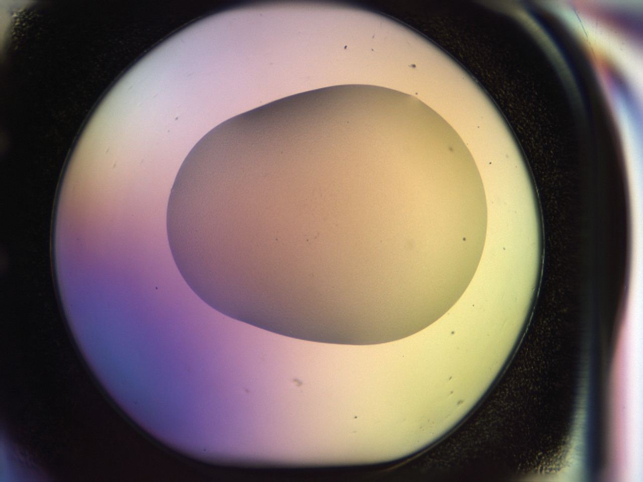 046m_E6_ImagerDefaults_0.jpg