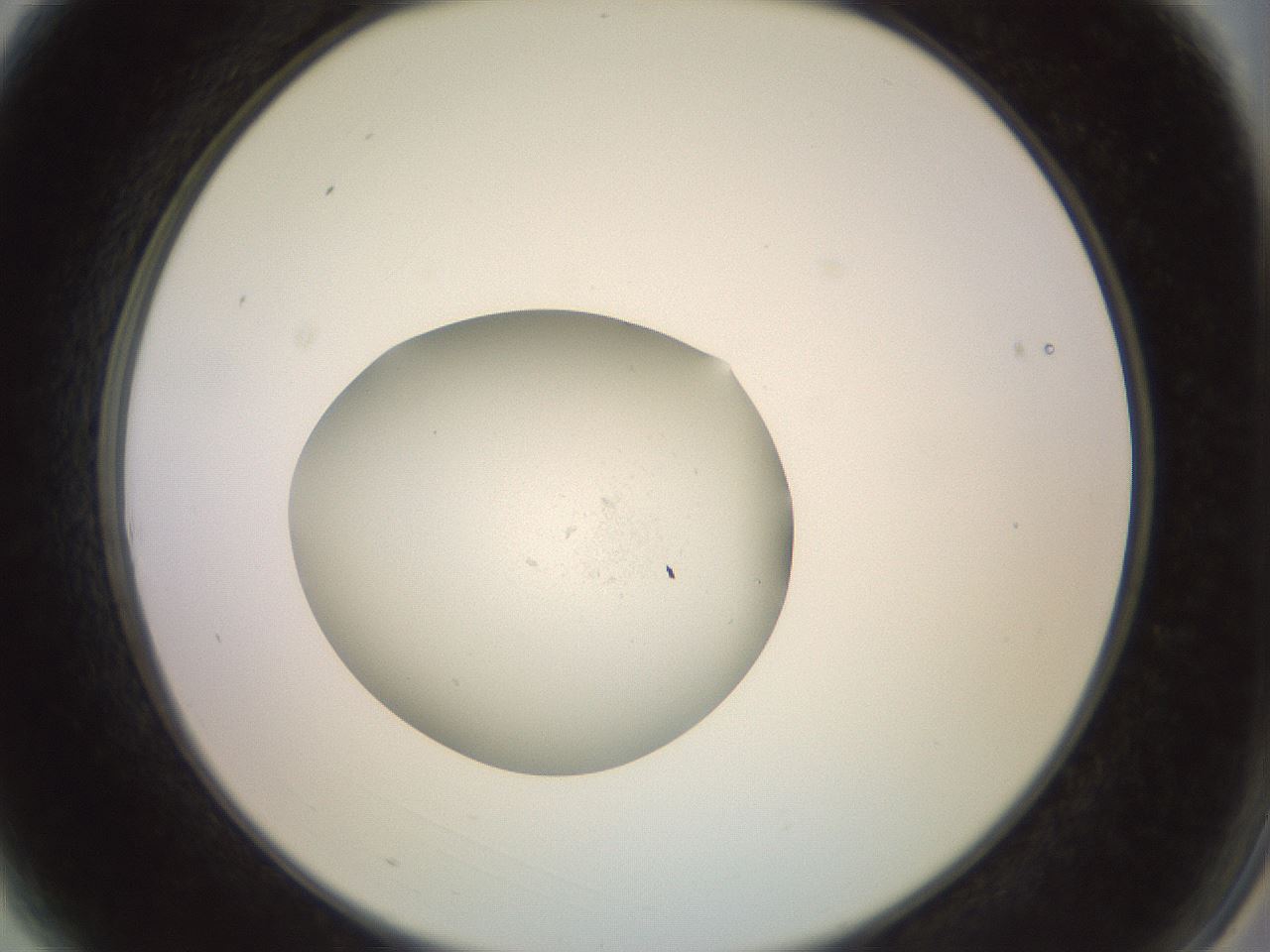 folderID854_plateID1854_batchID7886_wellNum3_profileID1_d2_r123555_ef.jpg