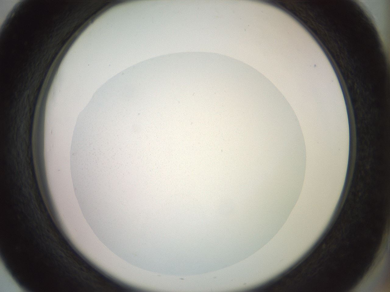 folderID854_plateID1854_batchID7886_wellNum51_profileID1_d2_r123651_ef.jpg