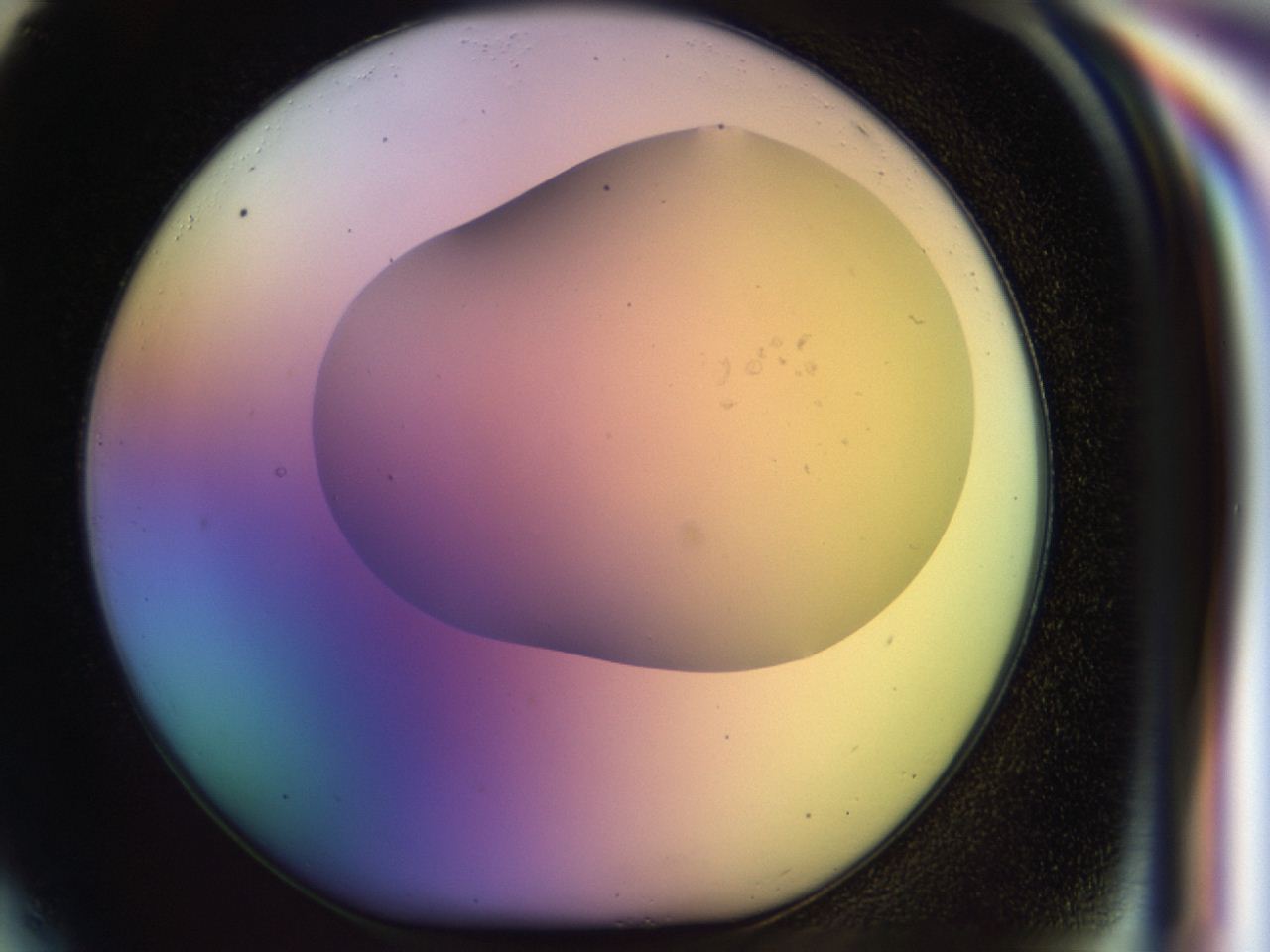 046m_F4_ImagerDefaults_0.jpg