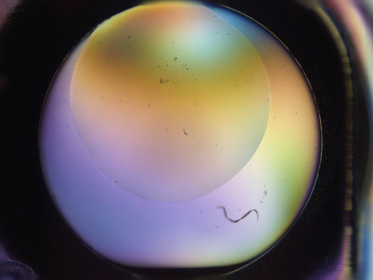 046m_F12_ImagerDefaults_0.jpg