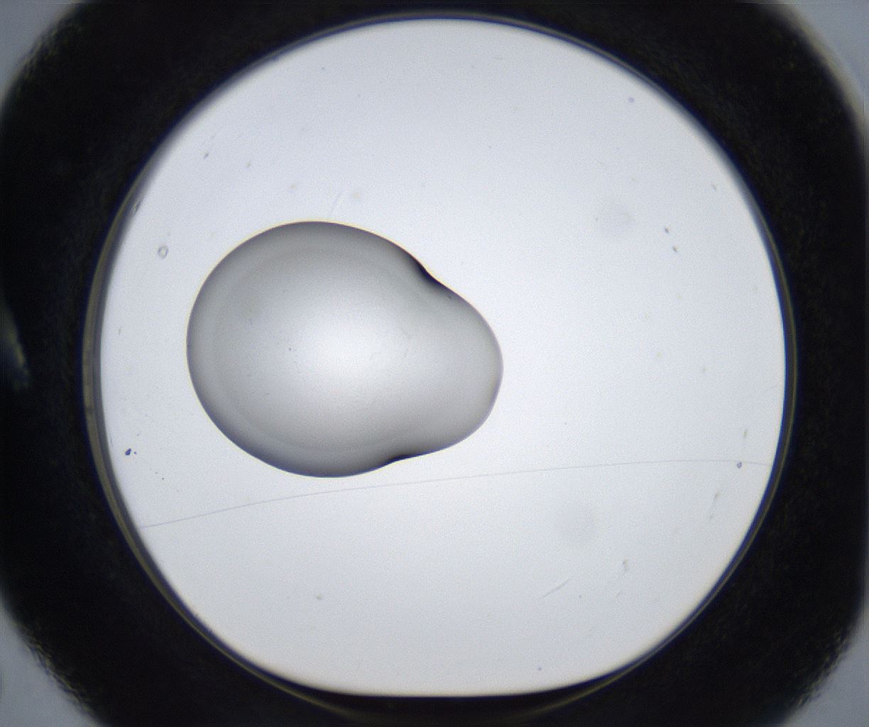 folderID854_plateID2854_batchID15388_wellNum5_profileID1_d1_r233312_ef.jpg