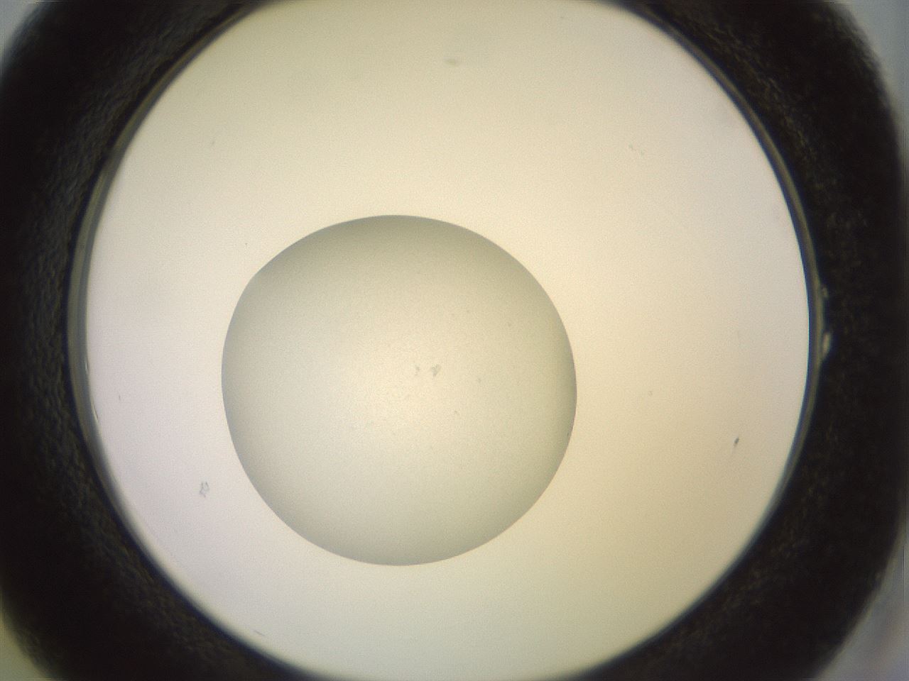 folderID855_plateID1855_batchID7906_wellNum1_profileID1_d2_r124511_ef.jpg