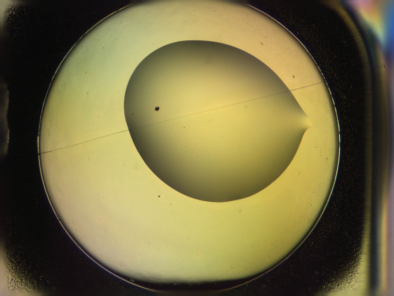 046m_B1_ImagerDefaults_0.jpg