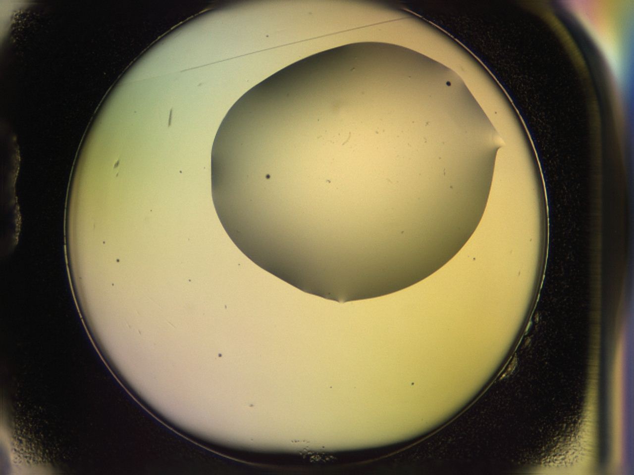 046m_B2_ImagerDefaults_0.jpg