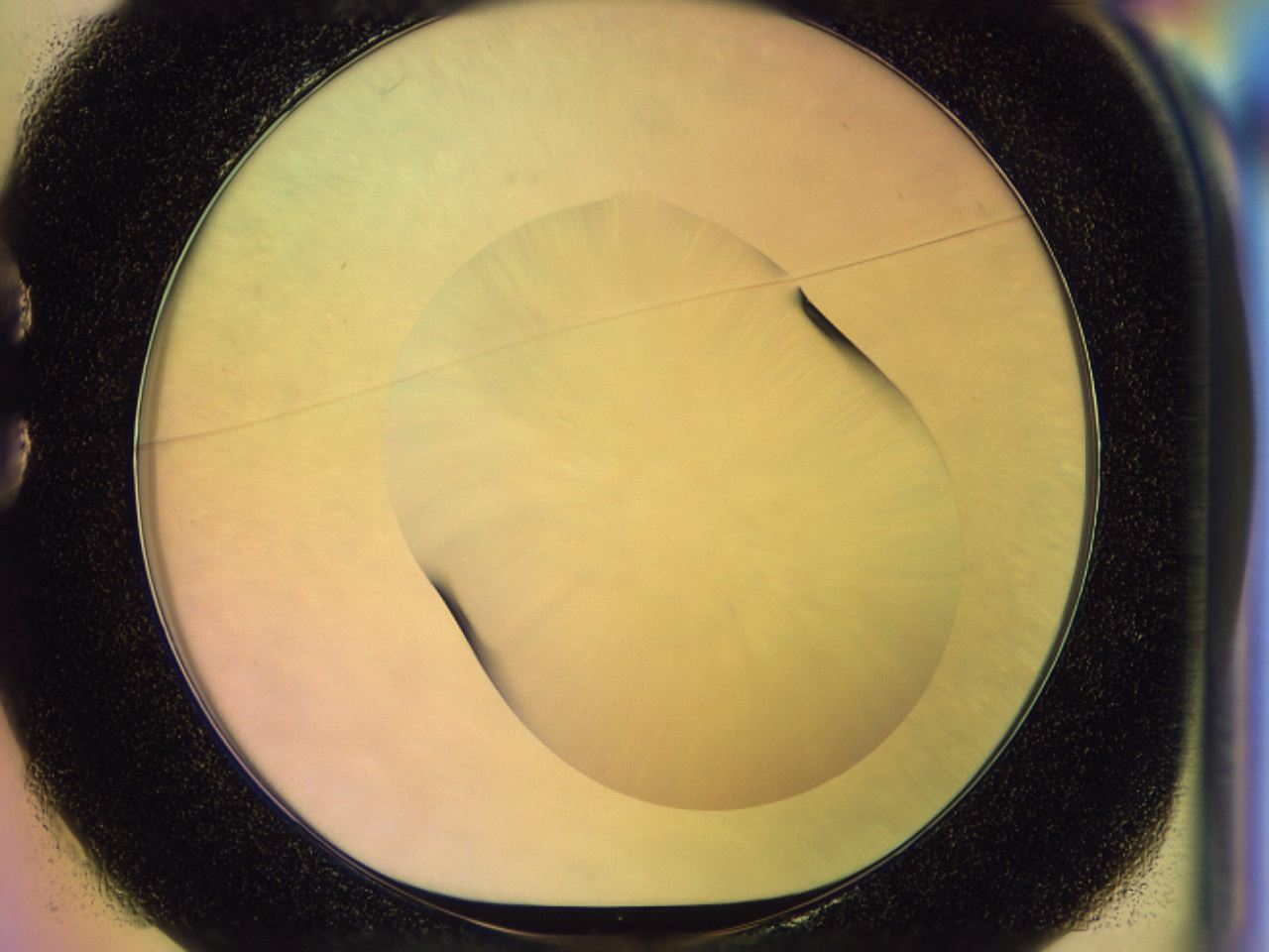 046n_C1_ImagerDefaults_0.jpg
