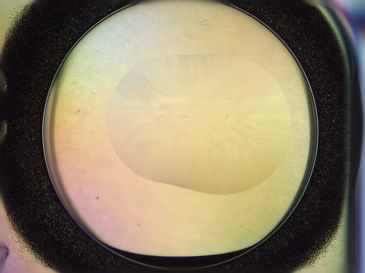 046n_C7_ImagerDefaults_0.jpg