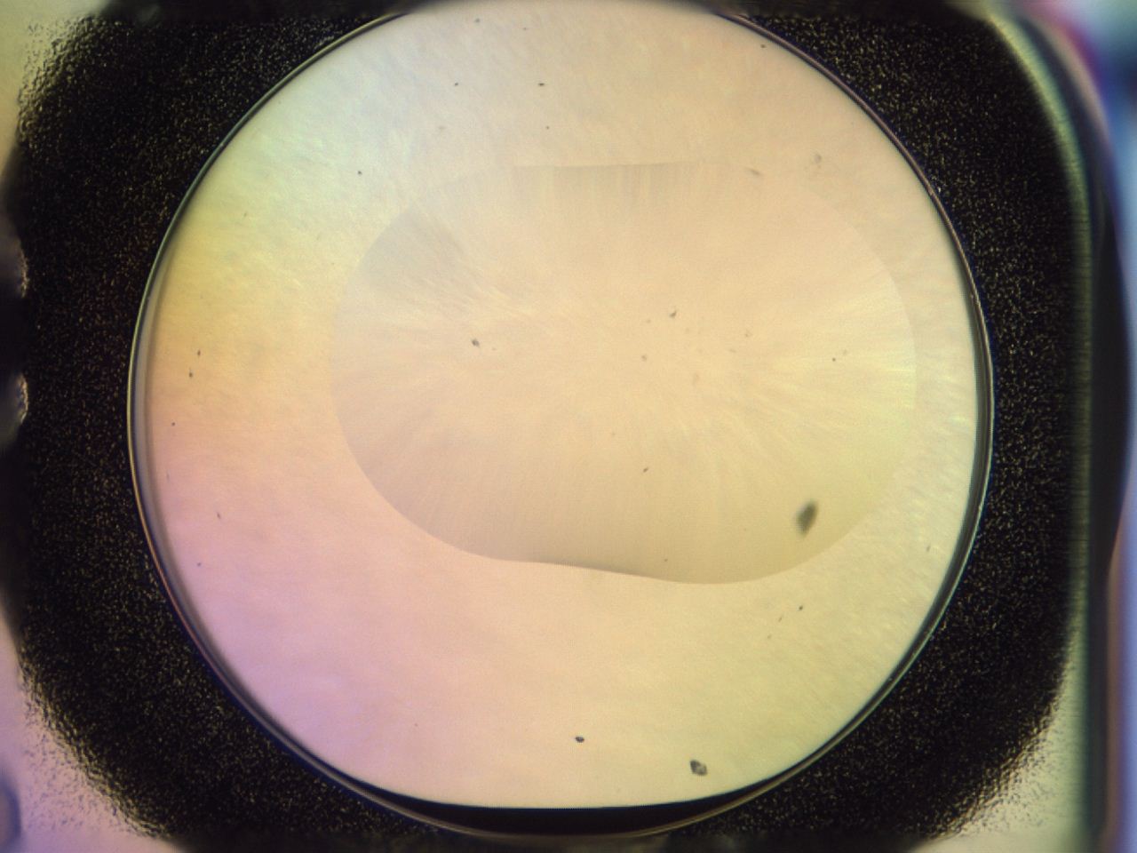 046n_C8_ImagerDefaults_0.jpg