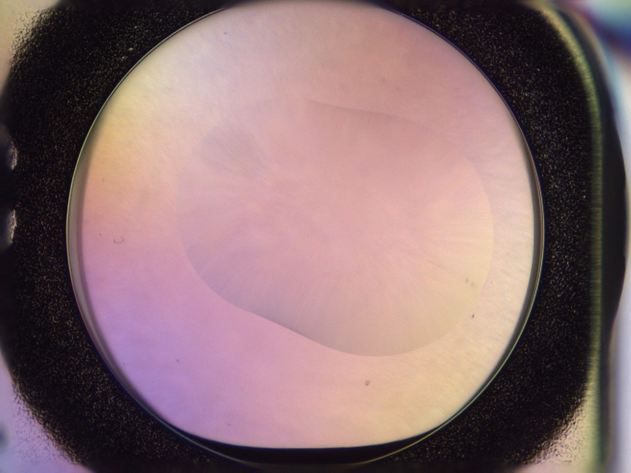 046n_C5_ImagerDefaults_0.jpg