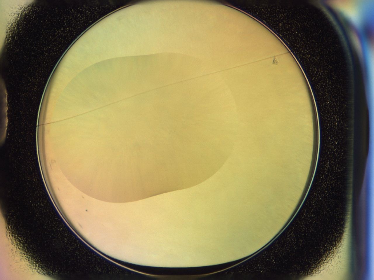 046n_D1_ImagerDefaults_0.jpg