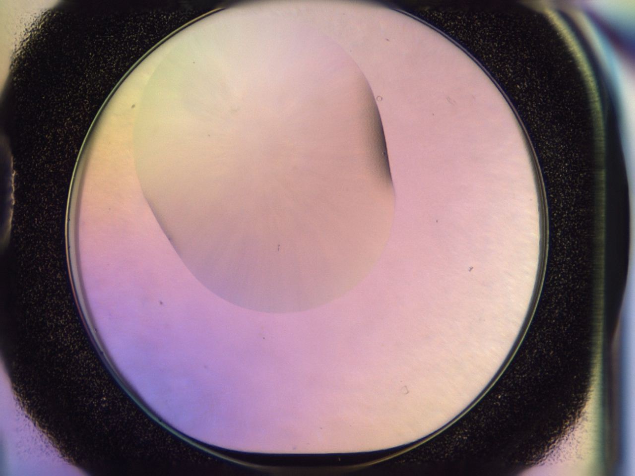 046n_D4_ImagerDefaults_0.jpg