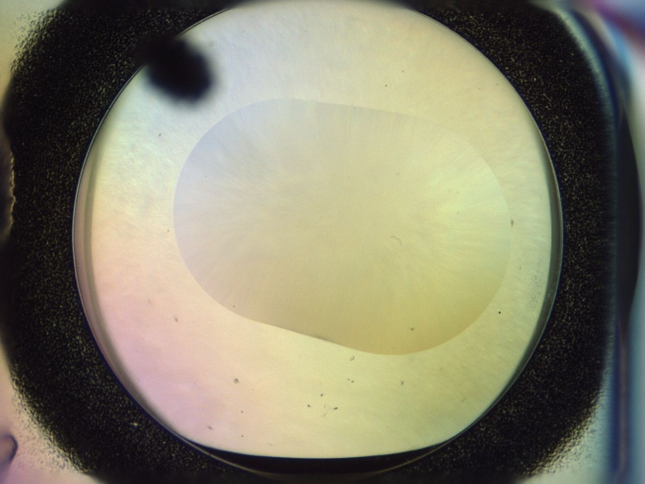 046n_D7_ImagerDefaults_0.jpg