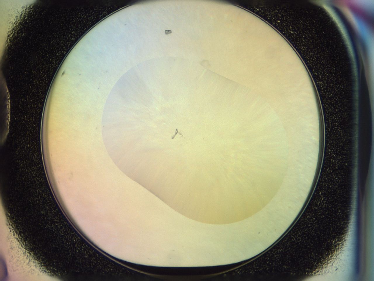 046n_D8_ImagerDefaults_0.jpg