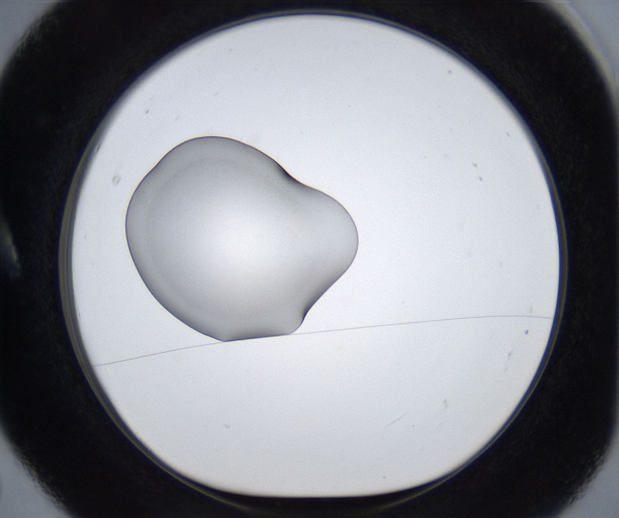 folderID858_plateID2858_batchID15401_wellNum5_profileID1_d1_r233696_ef.jpg