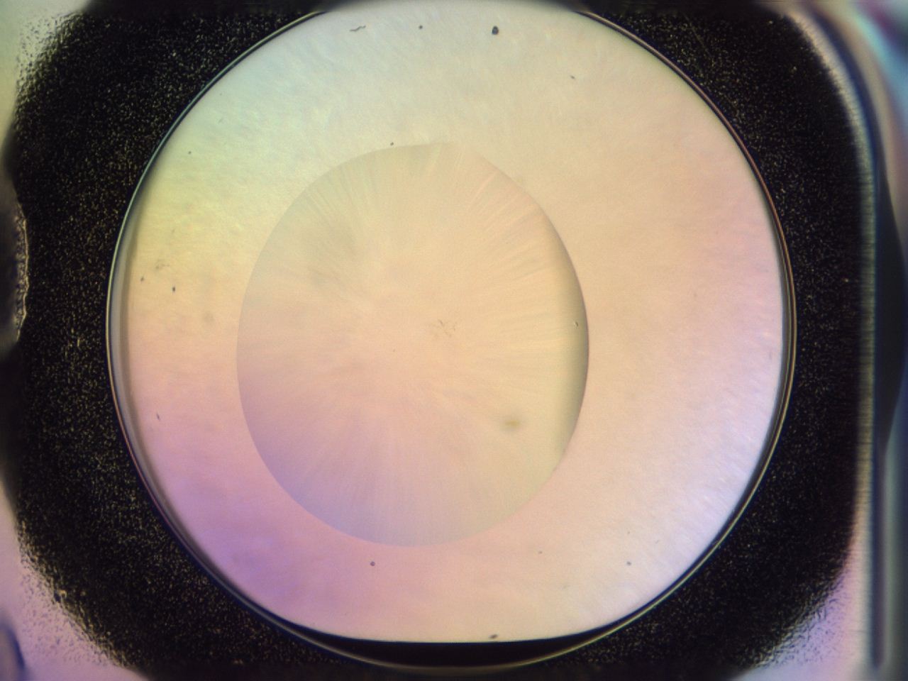 046n_D9_ImagerDefaults_0.jpg