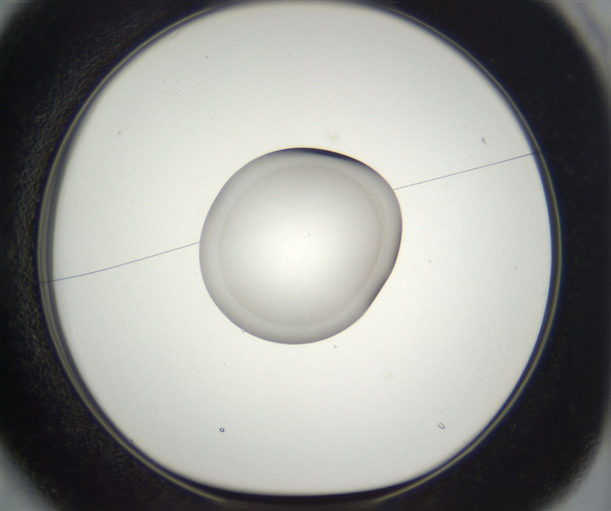 folderID859_plateID2859_batchID15407_wellNum13_profileID1_d1_r234864_ef.jpg